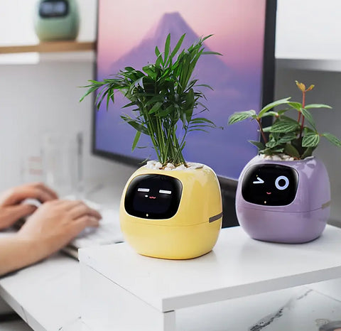 Ivy Smart Planter