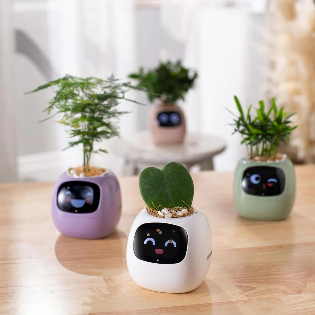 Ivy Smart Planter